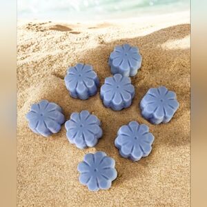 BUY IT NOW Wax Melts Various Shapes